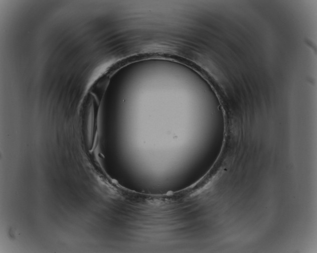 X0000097781022200803071344
