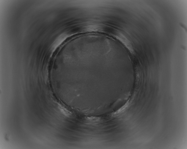 X0000097781023200803071344