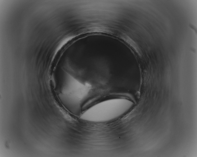 X0000097781024200803071344