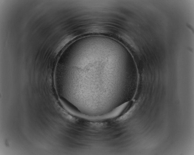 X0000097781025200803071344