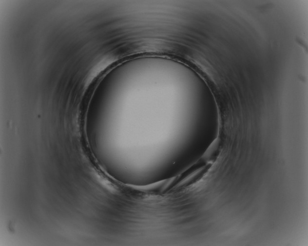 X0000097781026200803071344