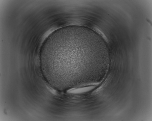 X0000097781027200803071344