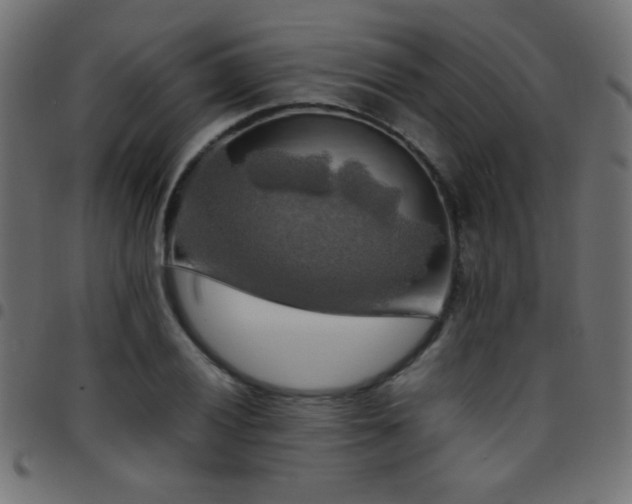 X0000097781028200803071344