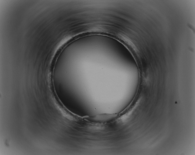 X0000097781029200803071344