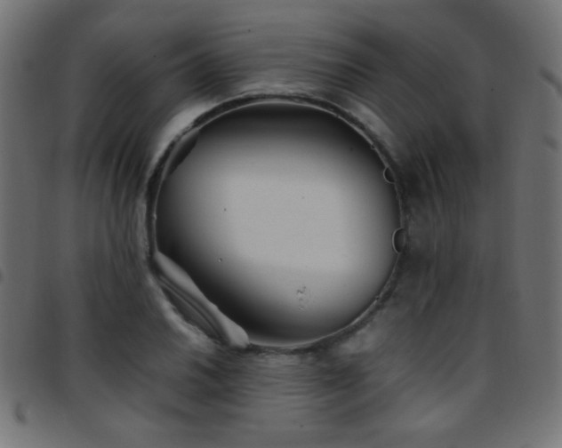 X0000097781030200803071344