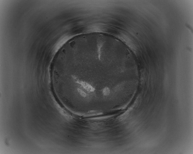 X0000097781031200803071344