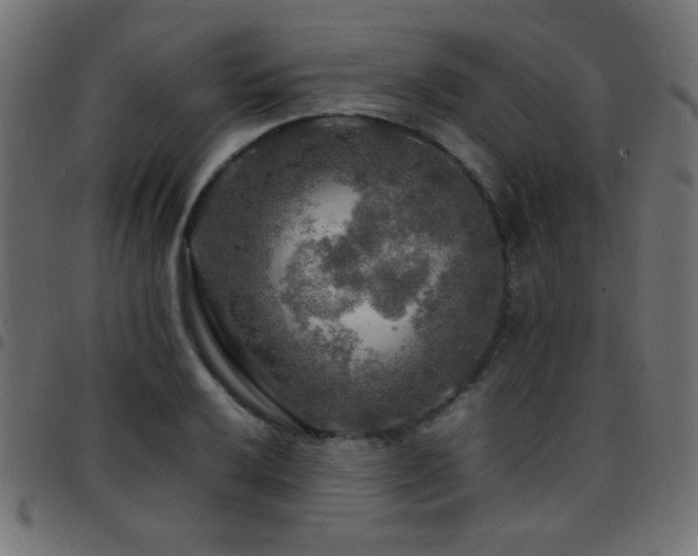 X0000097781032200803071344