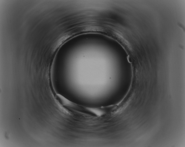 X0000097781033200803071345