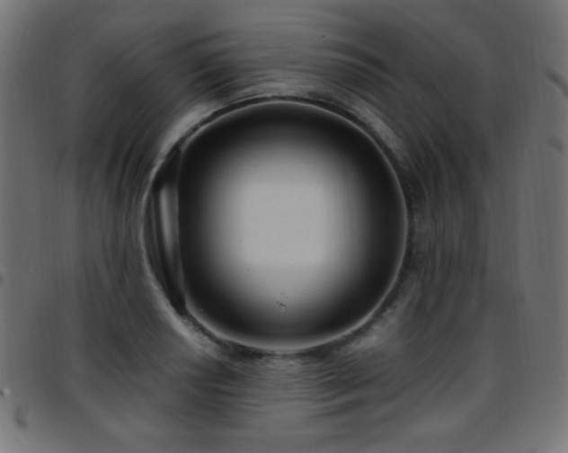 X0000097781034200803071345