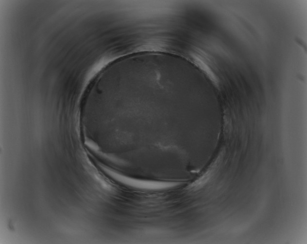 X0000097781035200803071345