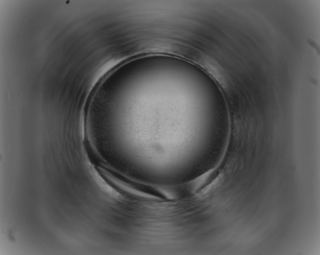 X0000097781036200803071345