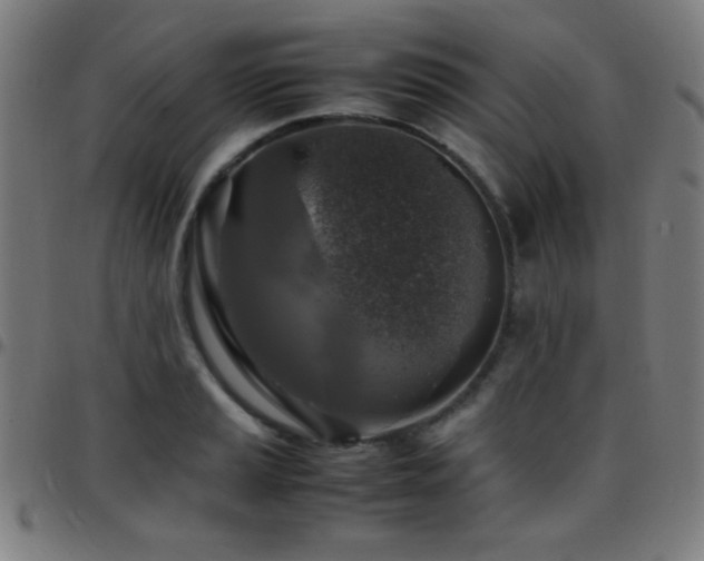 X0000097781037200803071345