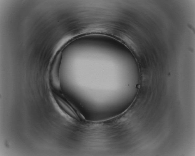 X0000097781038200803071345