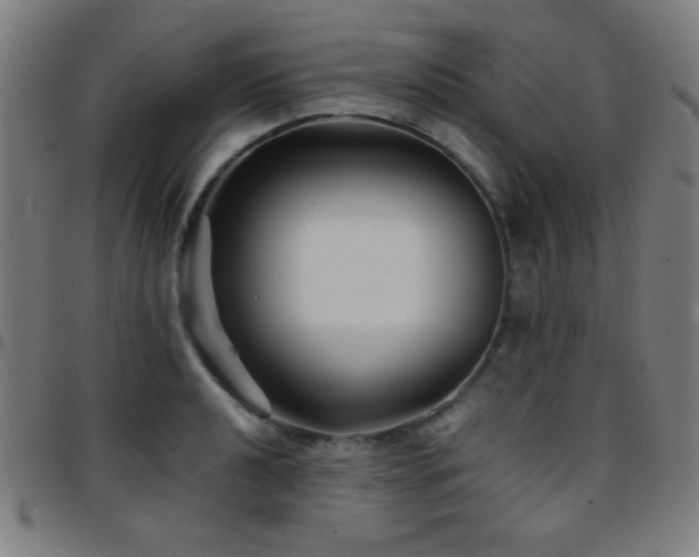 X0000097781040200803071345