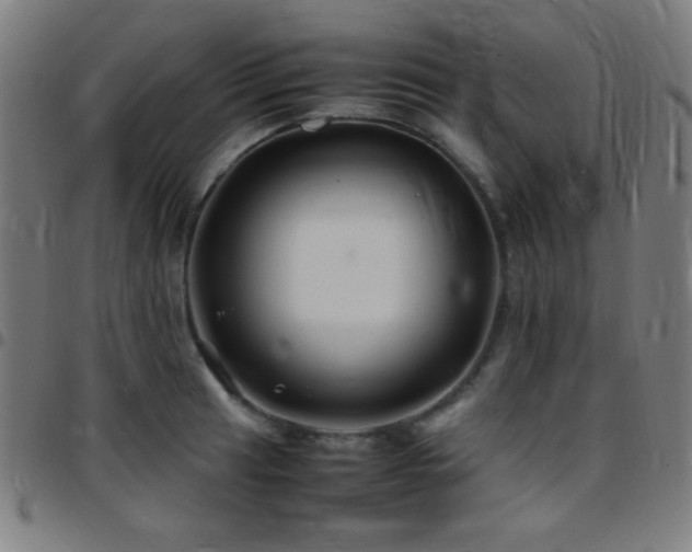 X0000097781041200803071345
