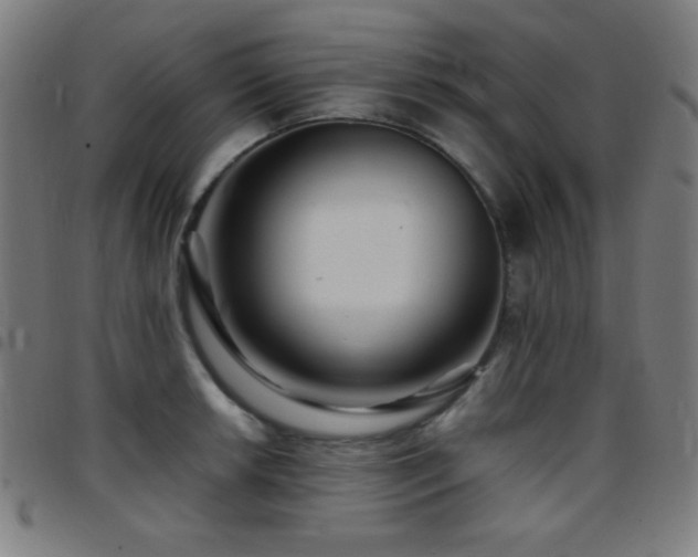 X0000097781042200803071345