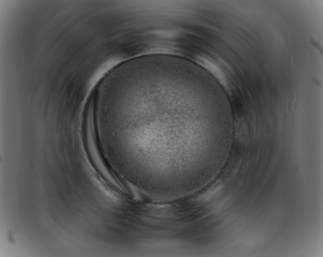 X0000097781043200803071345