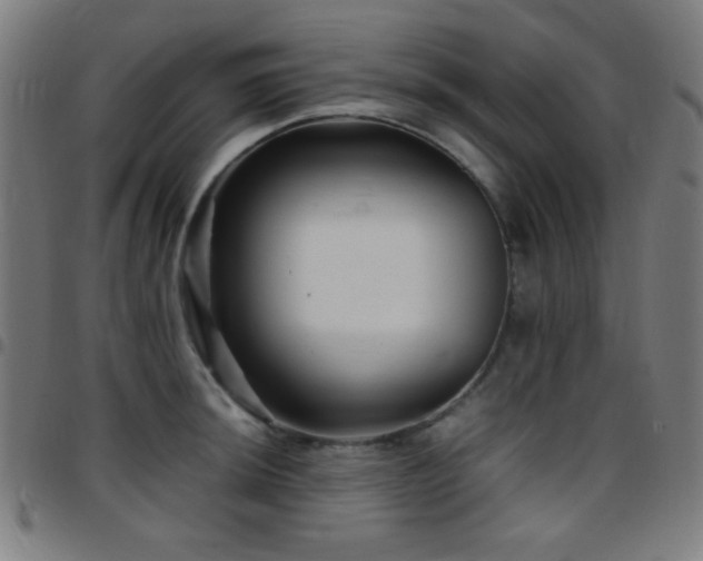 X0000097781044200803071345