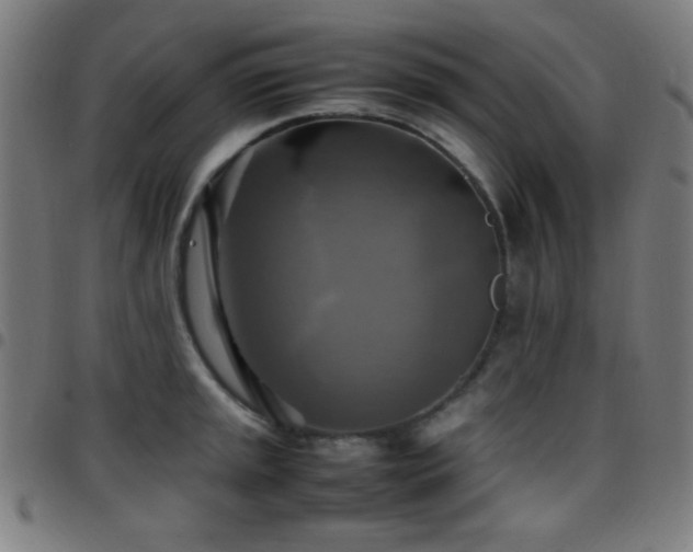 X0000097781045200803071345