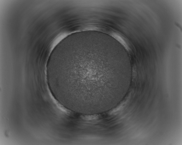 X0000097781047200803071345