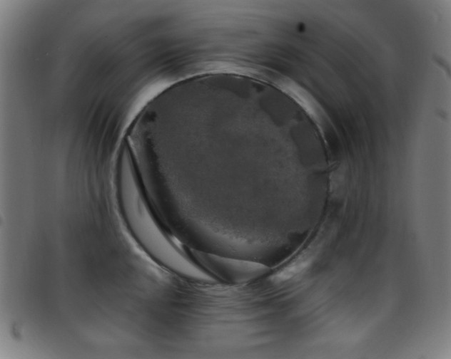 X0000097781048200803071345