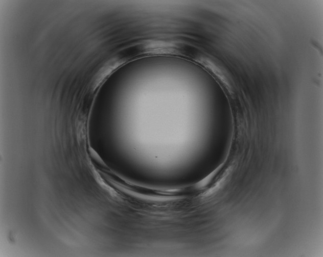 X0000097781049200803071345
