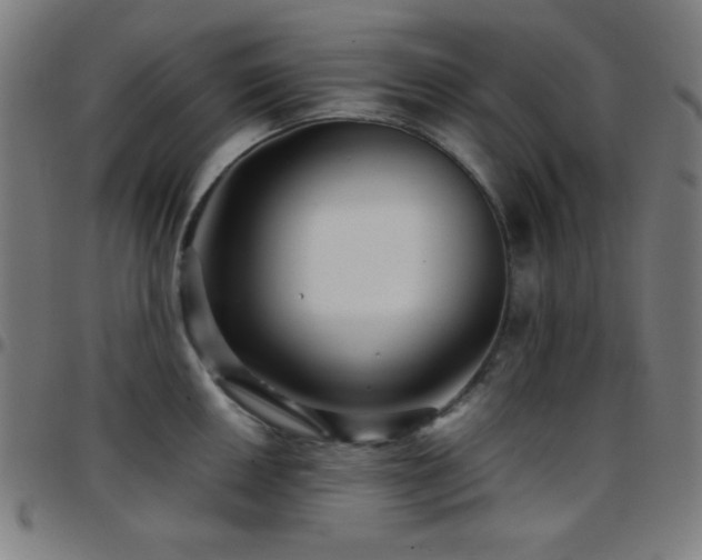 X0000097781050200803071345