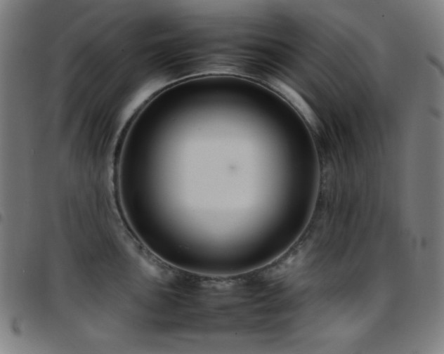 X0000097781051200803071345
