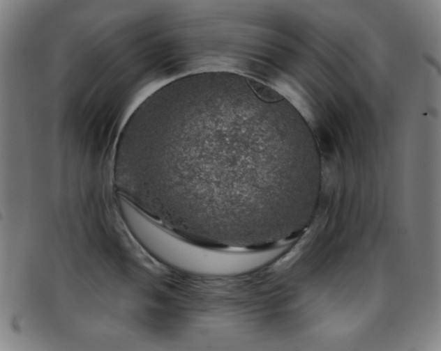 X0000097781052200803071345