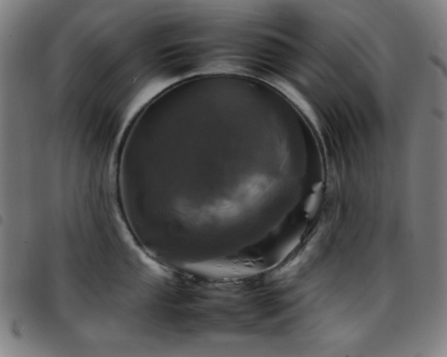 X0000097781053200803071345