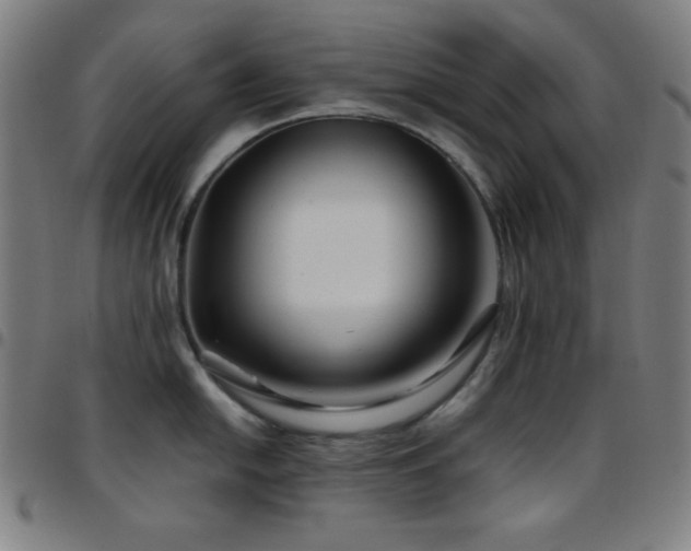 X0000097781054200803071345