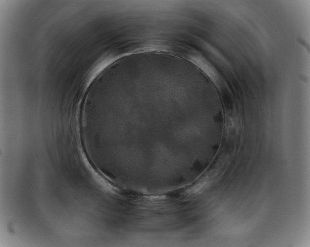 X0000097781055200803071345