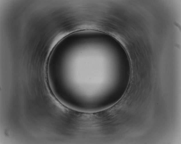 X0000097781056200803071345