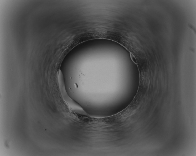 X0000097781057200803071344