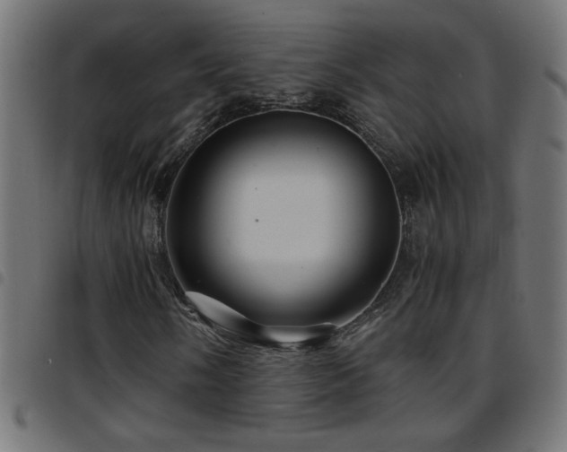 X0000097781058200803071344