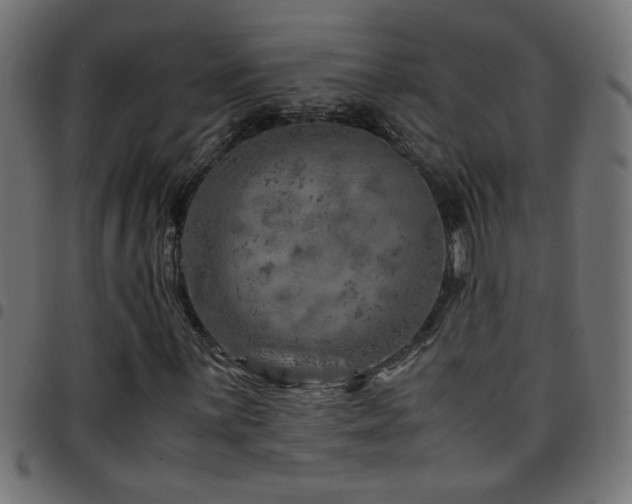 X0000097781059200803071344