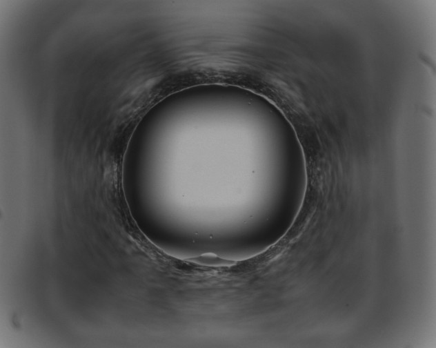 X0000097781061200803071344