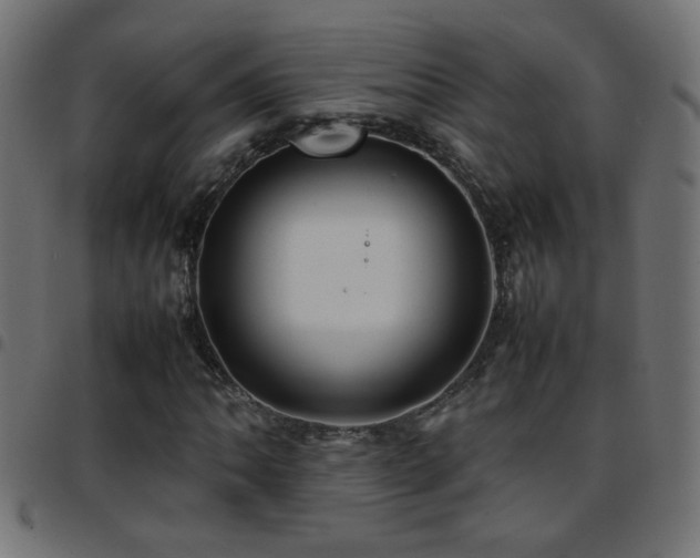 X0000097781062200803071344