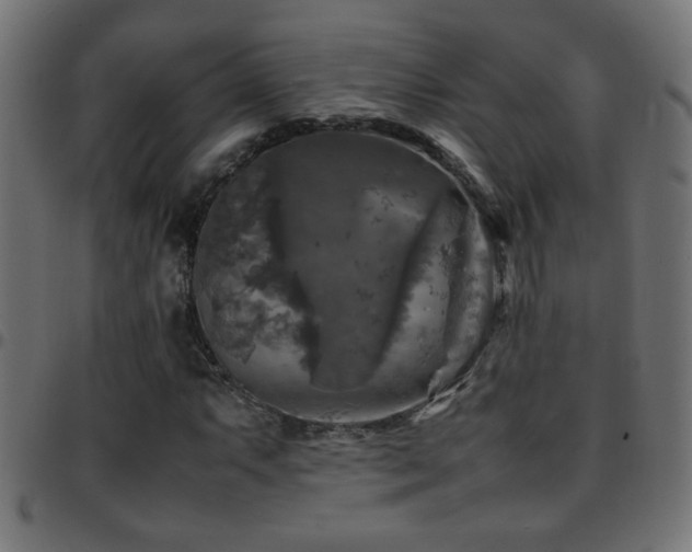 X0000097781063200803071344