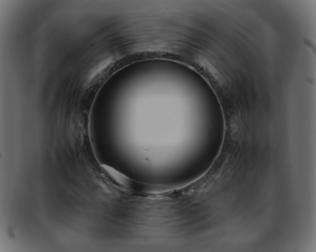 X0000097781064200803071344