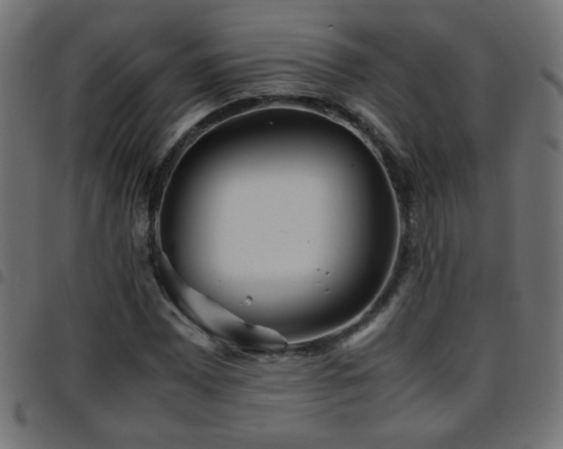 X0000097781065200803071344