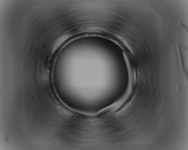 X0000097781066200803071344