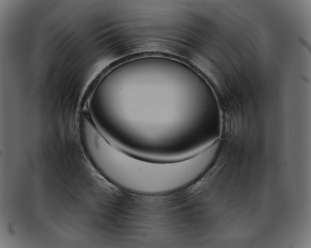 X0000097781068200803071344