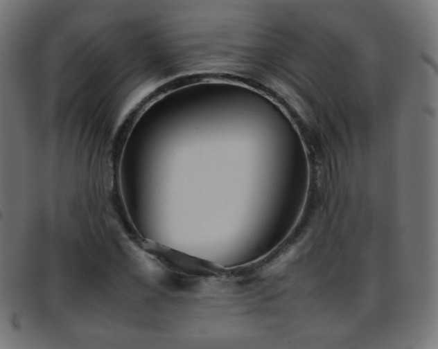 X0000097781069200803071344