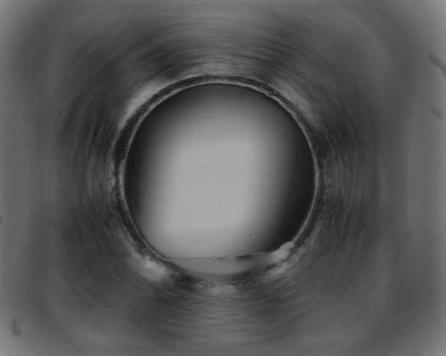 X0000097781070200803071344