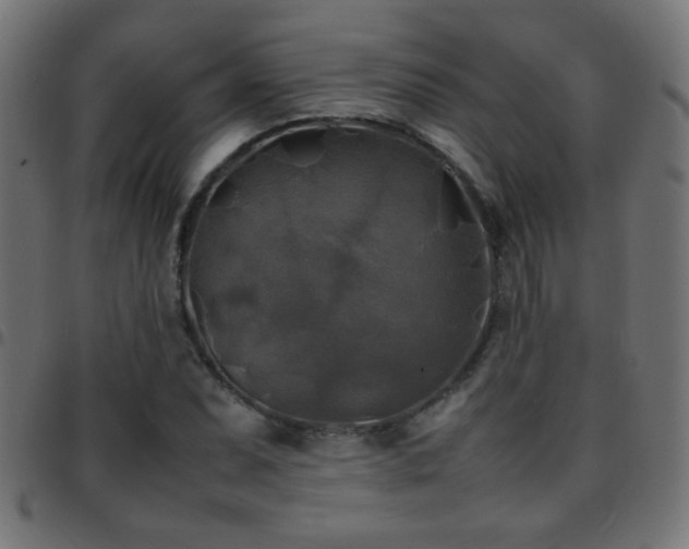 X0000097781071200803071344