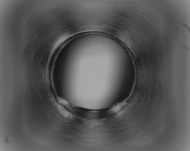 X0000097781072200803071344