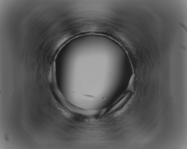 X0000097781073200803071344