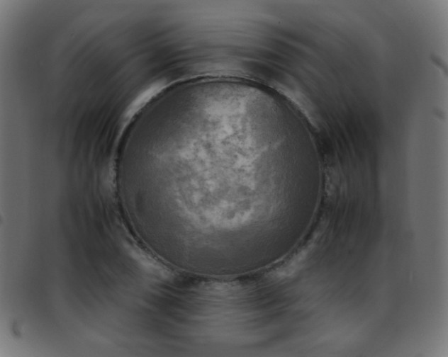 X0000097781074200803071344