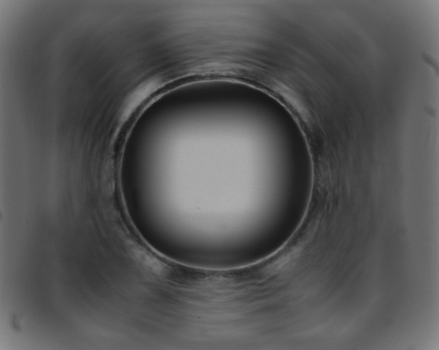 X0000097781075200803071344